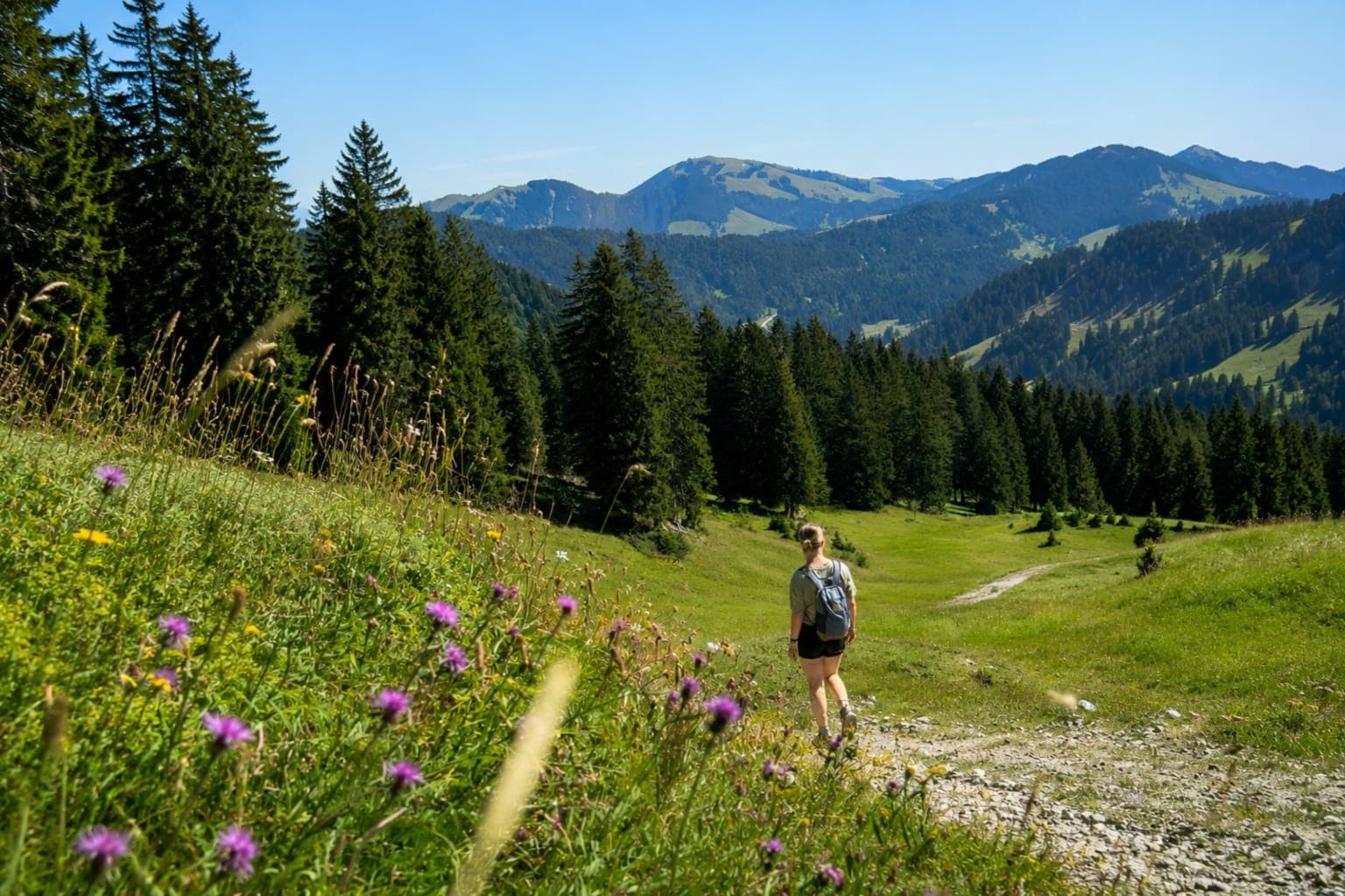 Wanderverpflegung aus dem Toggenburg – was in den Rucksack gehört
